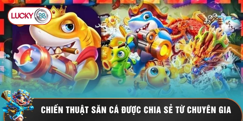 Chiến thuật săn cá được chia sẻ từ chuyên gia