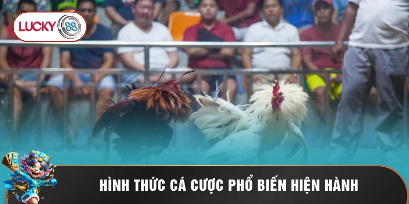 Hình thức cá cược phổ biến hiện hành