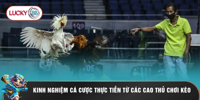 Kinh nghiệm cá cược thực tiễn từ các cao thủ chơi kèo