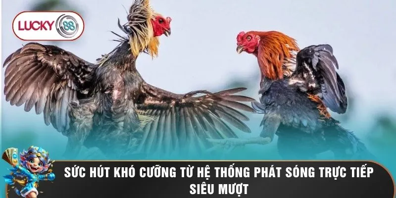 Sức hút khó cưỡng từ hệ thống phát sóng trực tiếp siêu mượt