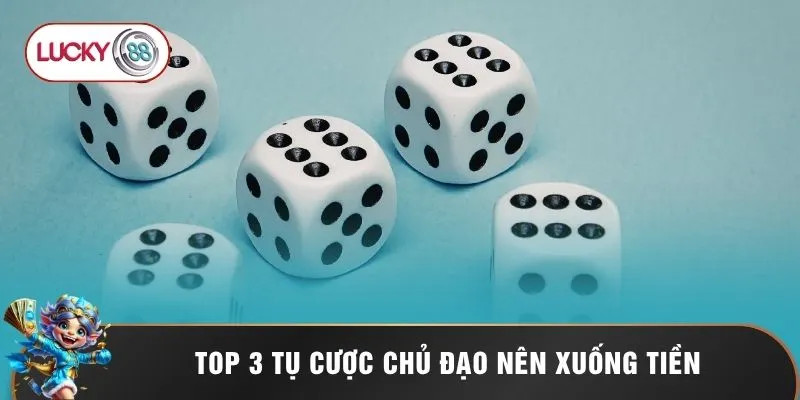 Top 3 tụ cược chủ đạo nên xuống tiền